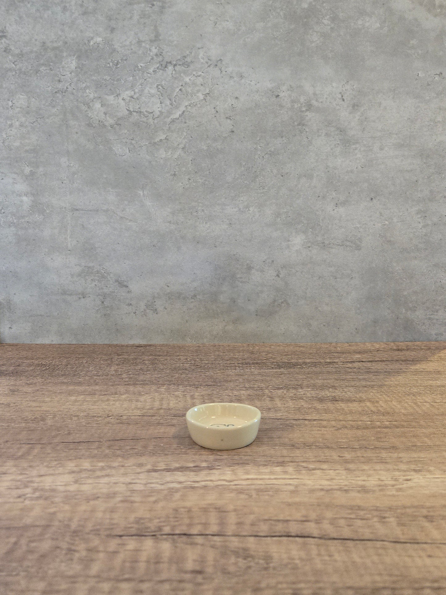 Turtle Ring Dish - #48
