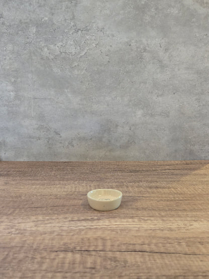 Turtle Ring Dish - #48